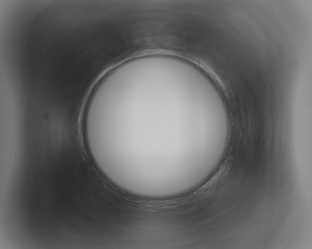X0000102401173200808010949