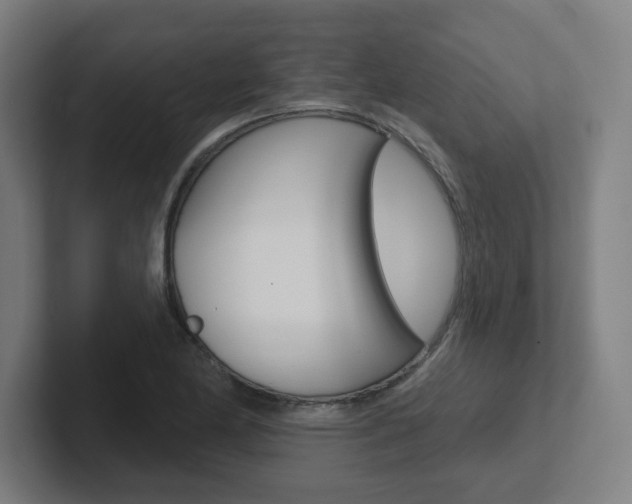 X0000102401174200808010949