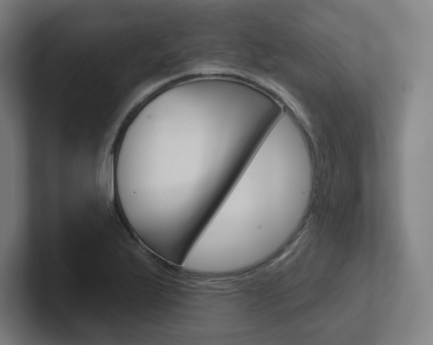 X0000102401175200808010949