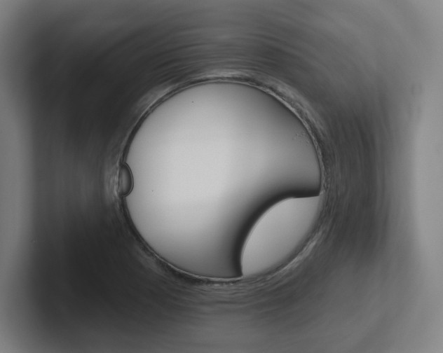 X0000102401177200808010949