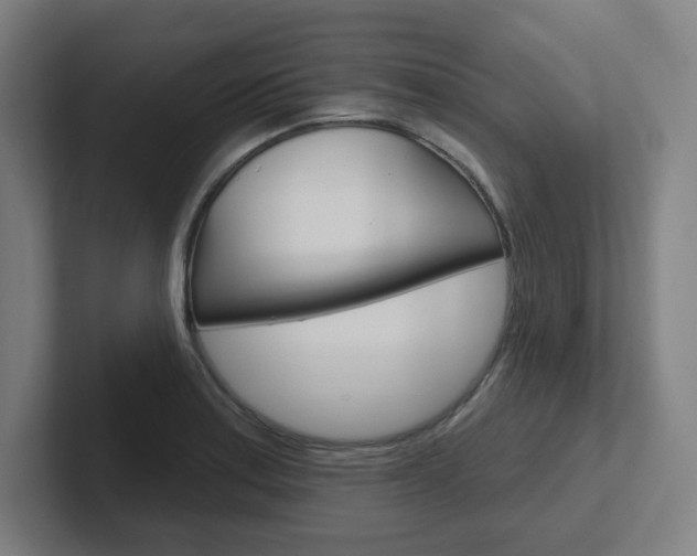 X0000102401179200808010949