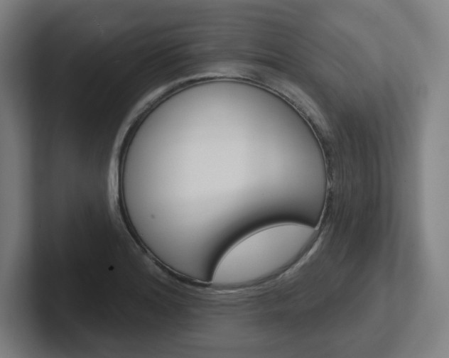 X0000102401180200808010949