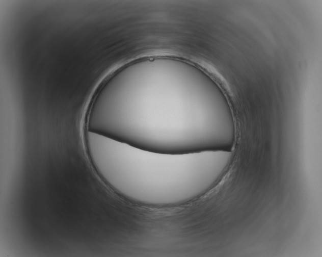 X0000102401181200808010949