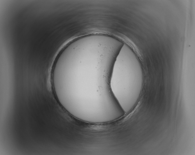 X0000102401182200808010949