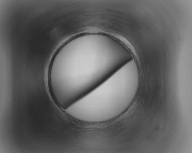 X0000102401183200808010949