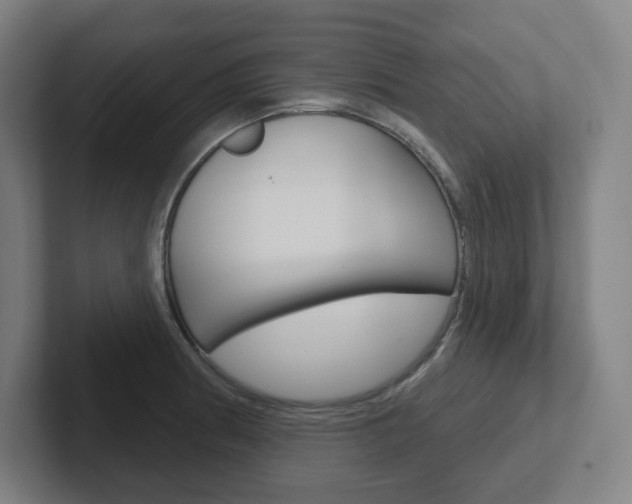 X0000102401186200808010949