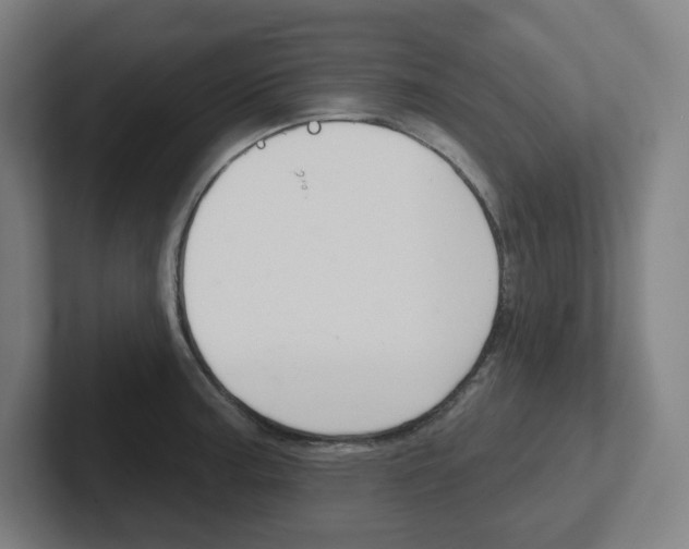X0000102401187200808010949