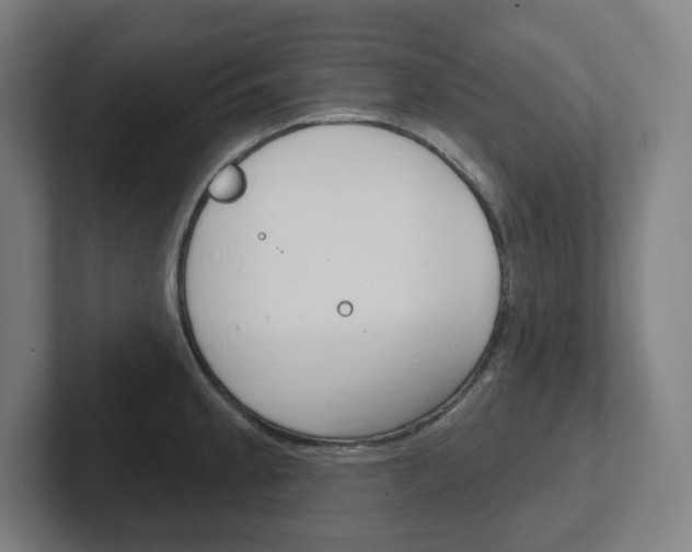 X0000102401189200808010949