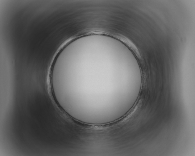 X0000102401190200808010948