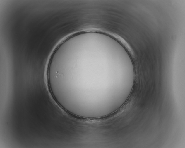 X0000102401191200808010948