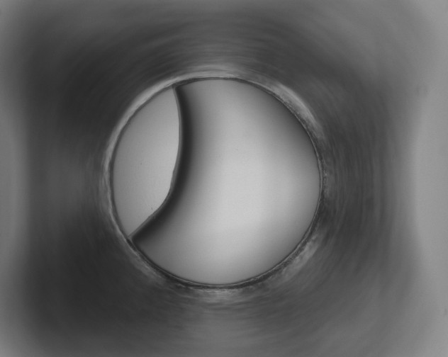 X0000102401192200808010948