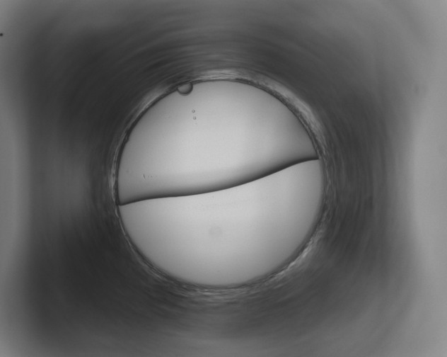 X0000102401193200808010948