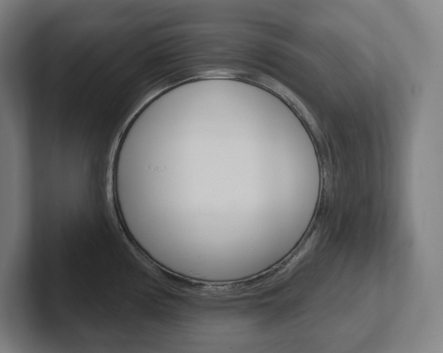 X0000102401194200808010948