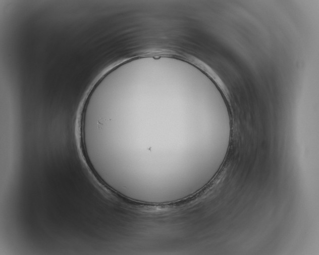 X0000102401195200808010948