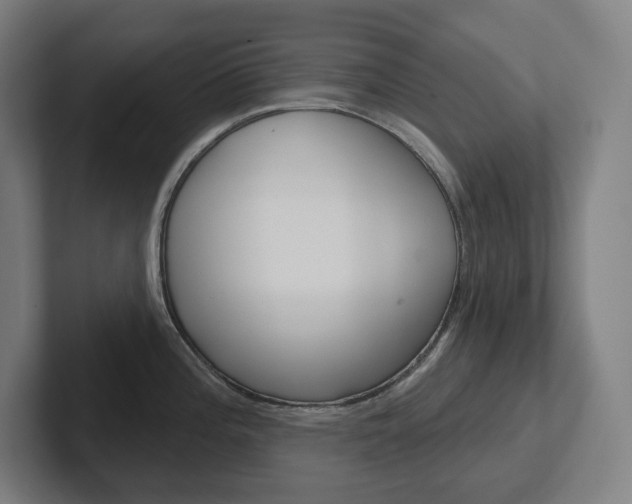 X0000102401196200808010948