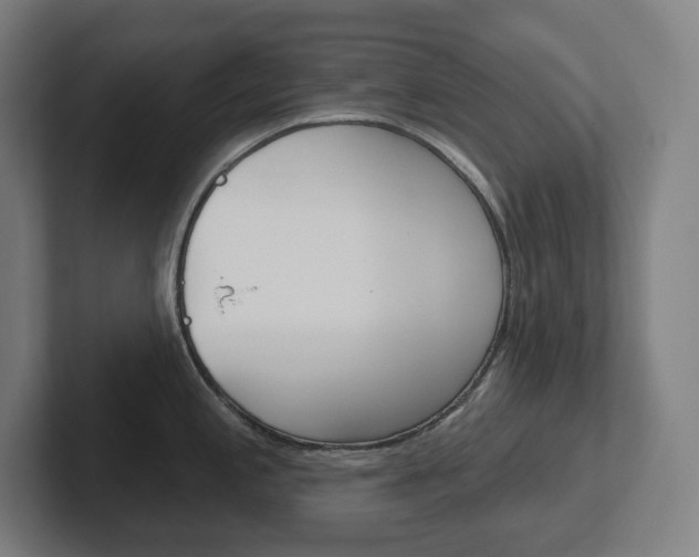 X0000102401197200808010948
