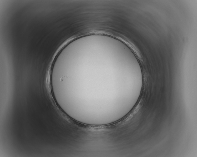 X0000102401198200808010948