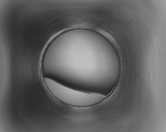 X0000102401200200808010948