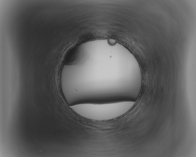 X0000102401201200808010948