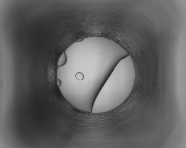 X0000102401203200808010948