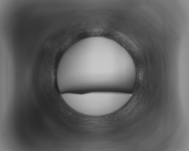 X0000102401204200808010948