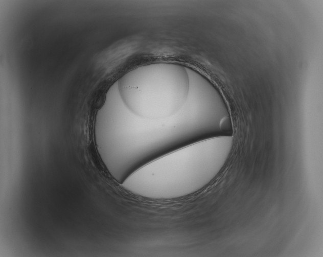 X0000102401205200808010948