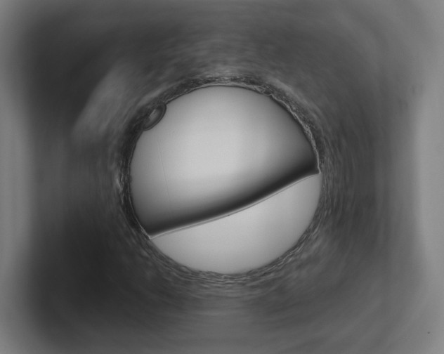 X0000102401206200808010948