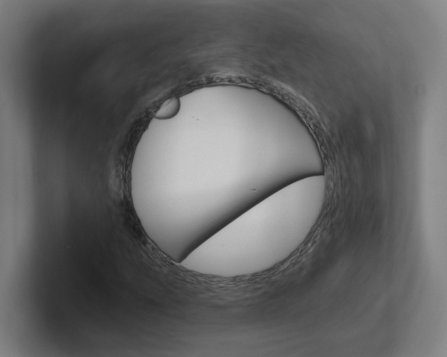 X0000102401207200808010948