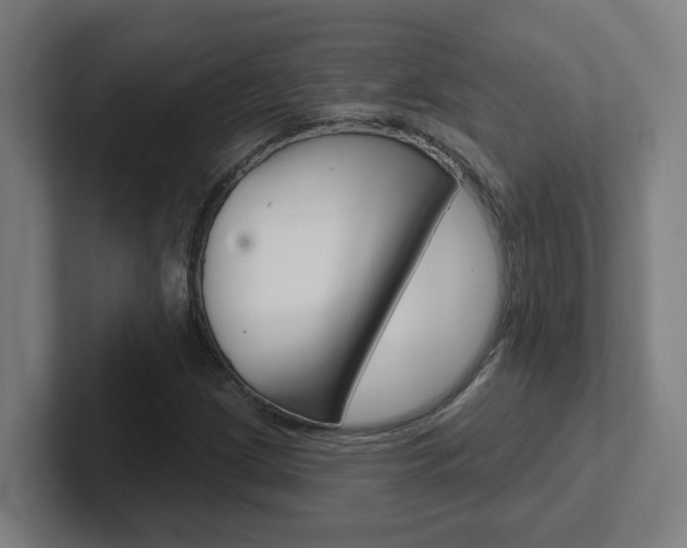 X0000102401209200808010948