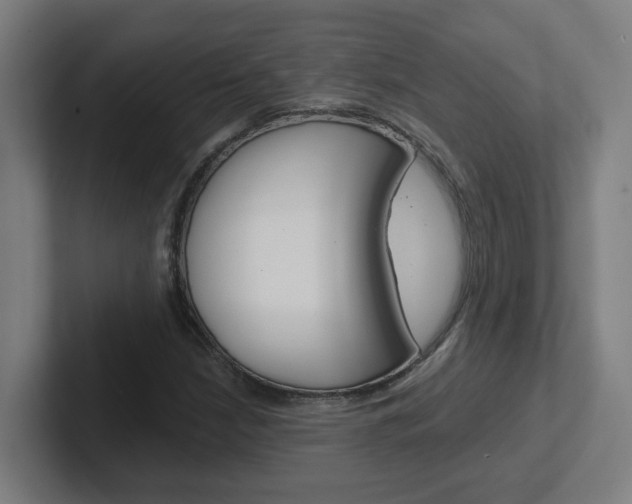X0000102401210200808010948