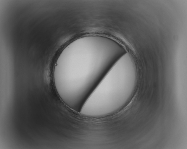 X0000102401213200808010948