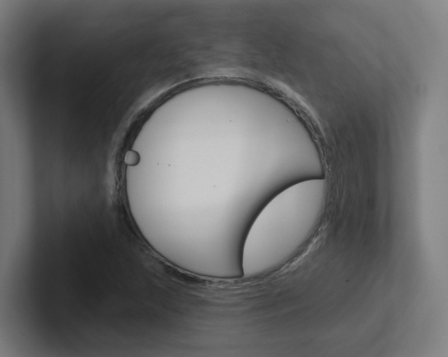 X0000102401215200808010948