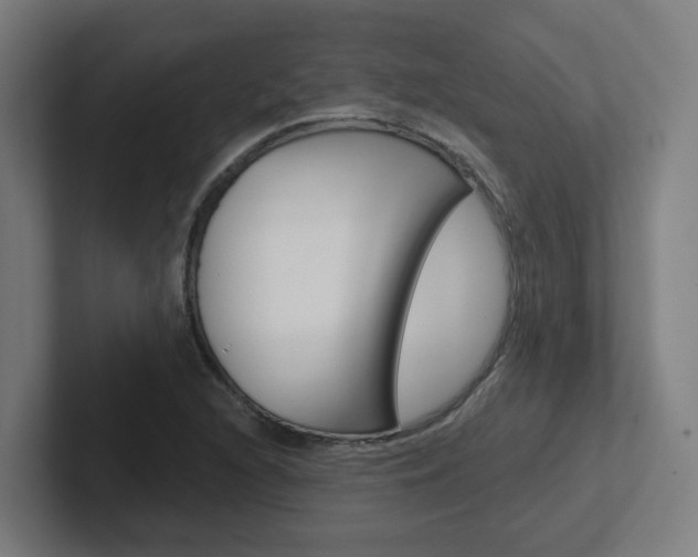 X0000102401216200808010948
