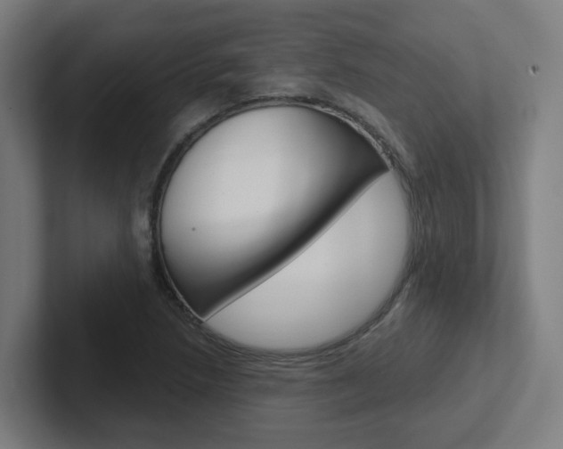 X0000102401218200808010948