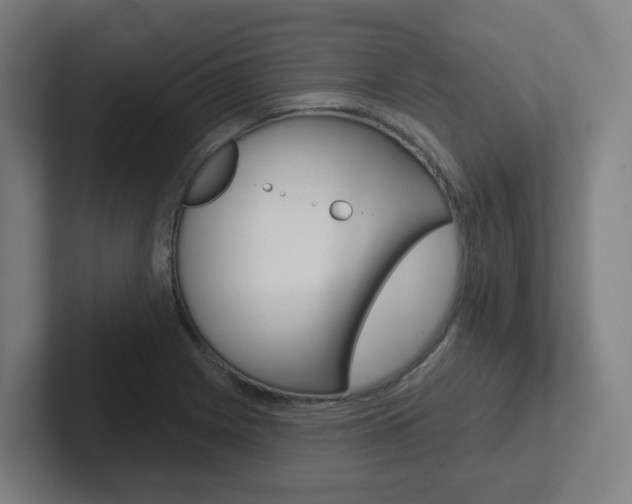 X0000102401225200808010948