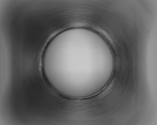 X0000102401226200808010948