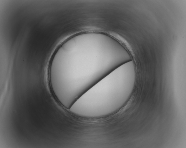 X0000102401231200808010948