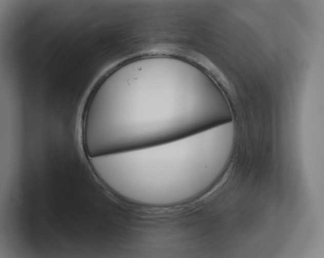 X0000102401232200808010948