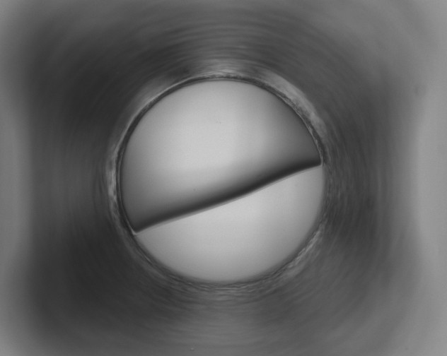 X0000102401234200808010948