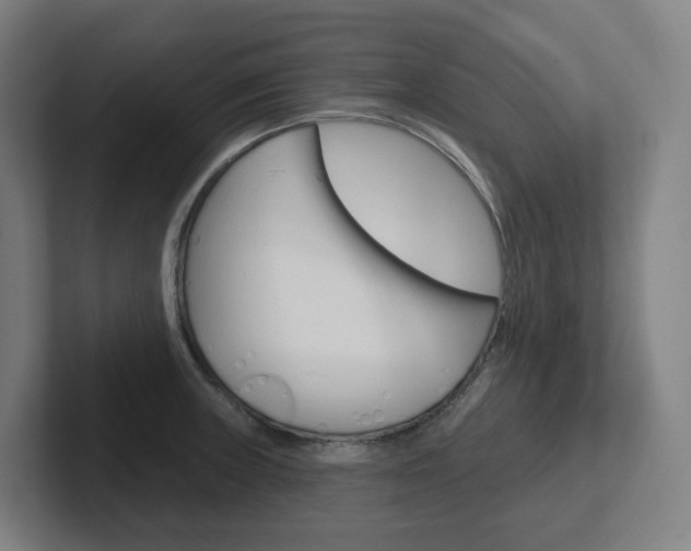X0000102401235200808010948