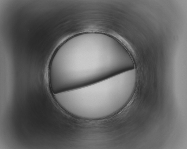 X0000102401238200808010948