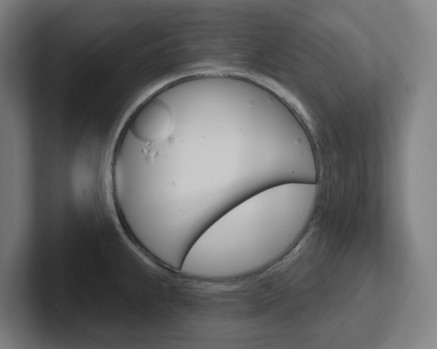X0000102401239200808010948