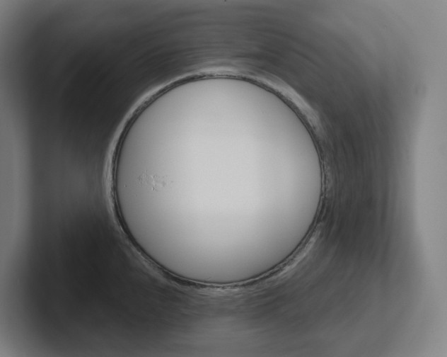 X0000102401240200808010948
