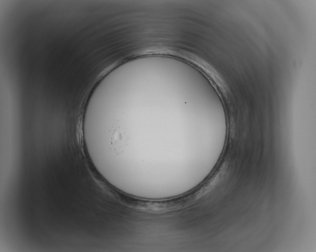 X0000102401241200808010948