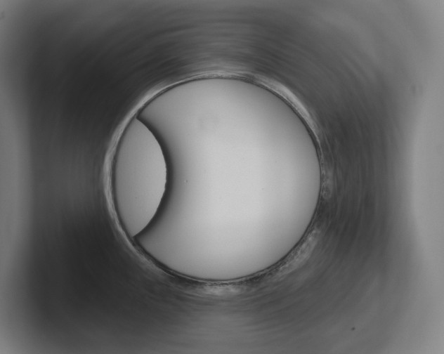 X0000102401243200808010948