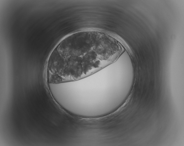 X0000102401244200808010948