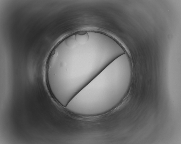 X0000102401245200808010948