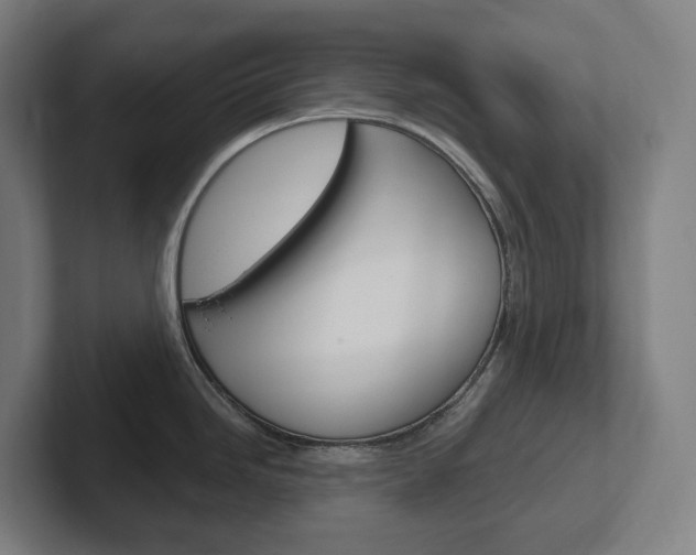X0000102401246200808010948