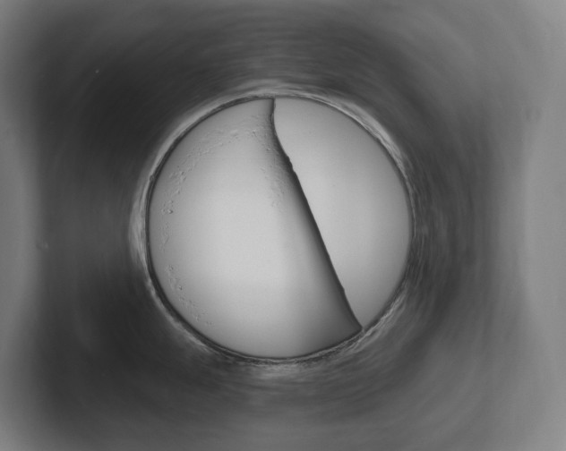 X0000102401247200808010948