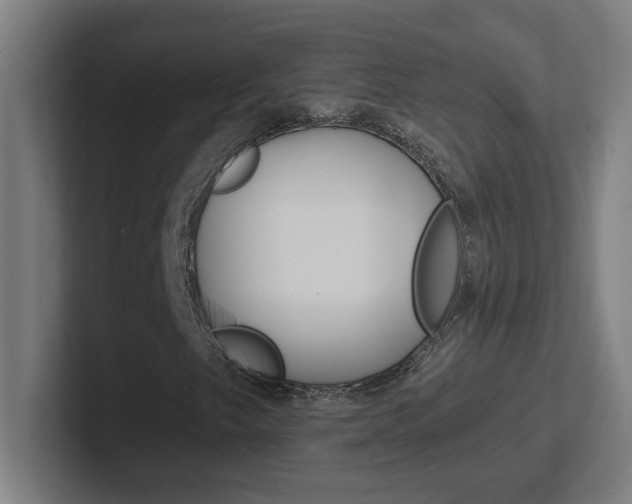 X0000102401249200808010948